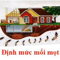 phan-mem-du-toan-chong-moi