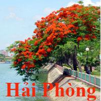 Đơn giá duy trì hệ thống thoát nước Hải Phòng