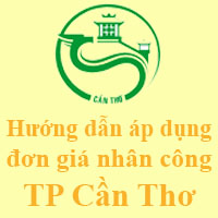 Hướng dẫn áp dụng đơn giá nhân công Cần Thơ