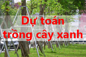dự toán trồng cây xanh